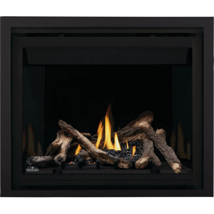 Napoleon Altitude™ 42 Direct Vent Gas Fireplace A42NTE