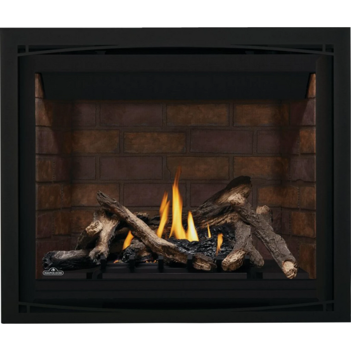 Napoleon Altitude™ 42 Direct Vent Gas Fireplace A42NTE