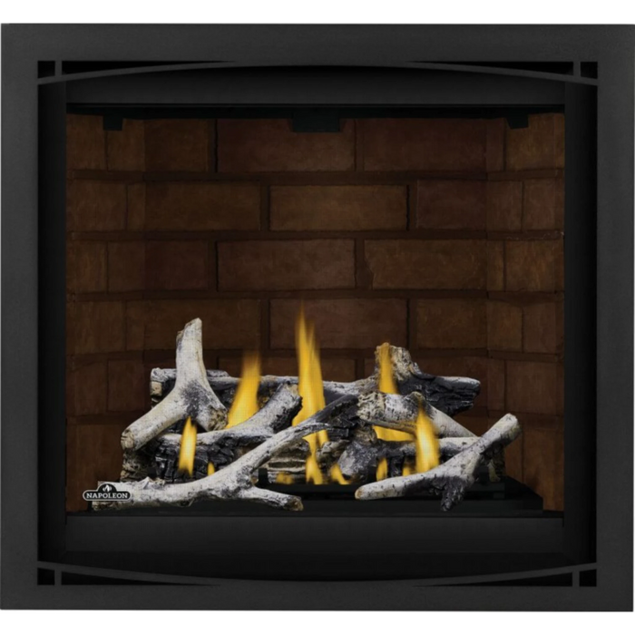 Napoleon Altitude™ X 36 Direct Vent Gas  Fireplace AX36NTE-1