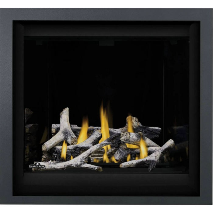 Napoleon Altitude™ X 36 Direct Vent Gas  Fireplace AX36NTE-1