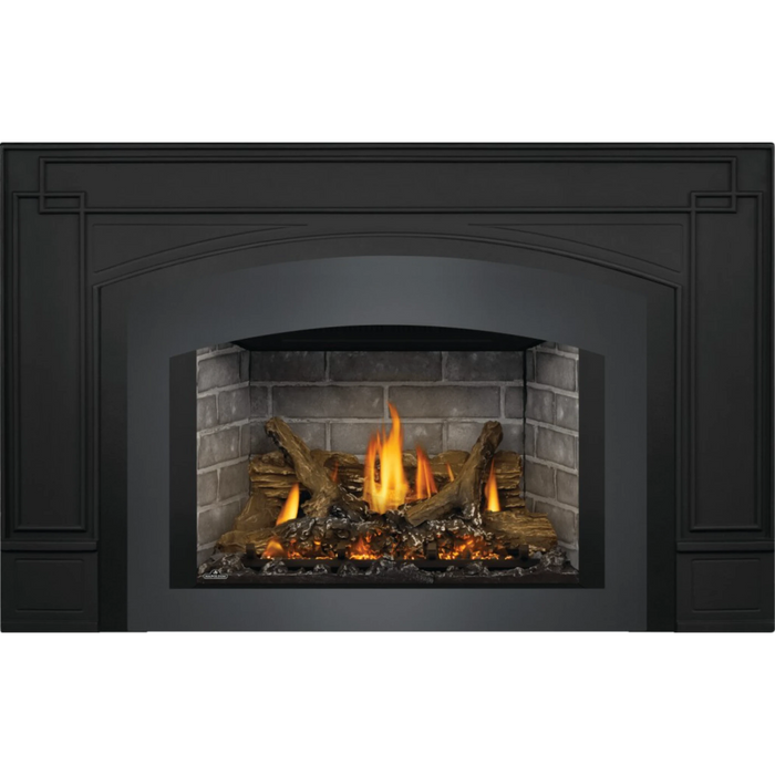 Napoleon Oakville™ X3 Gas Fireplace Gas Insert GDIX3N-1