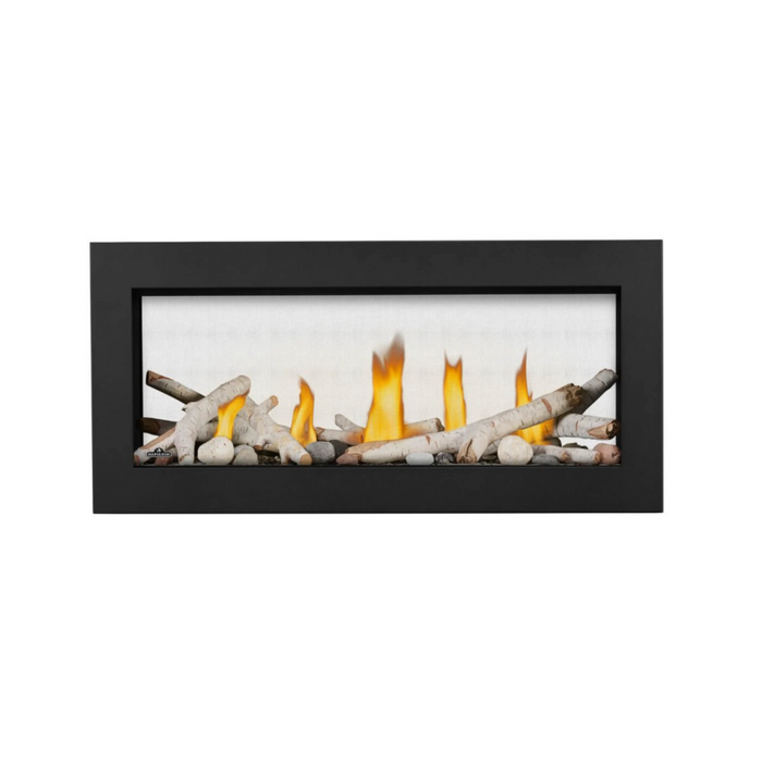 Napoleon Vector 38 See Through Direct Vent Gas Fireplace (LV38N2-1)