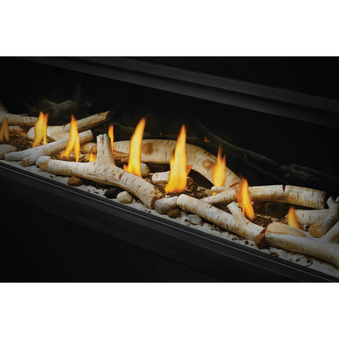 Napoleon Luxuria™ 62 See Through Direct Vent Gas Fireplace LVX62N2X-1