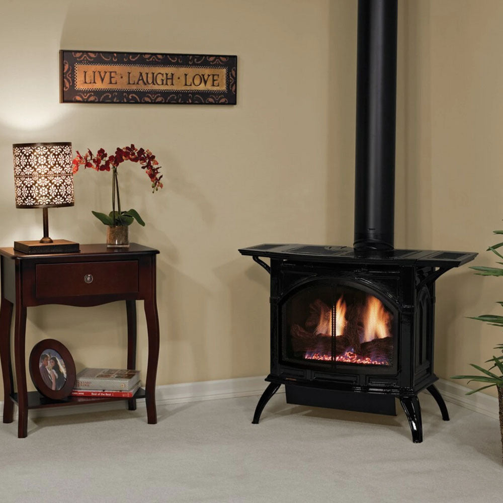 Gas & Wood Stoves