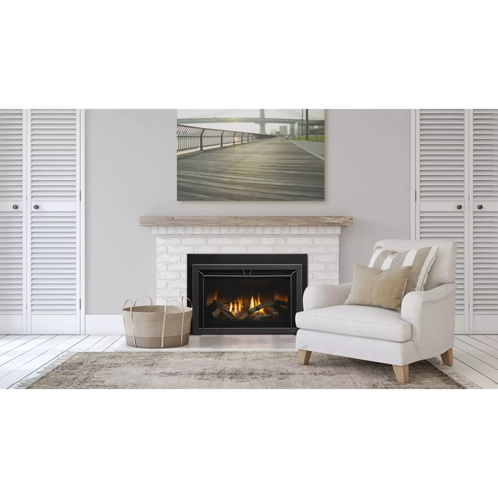 Heat & Glo Cosmo 30" Indoor Gas Fireplace Insert COSMO-I30-IFT