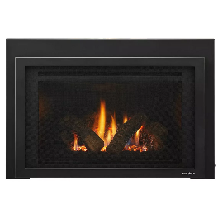 Heat & Glo Provident 30" Indoor Gas Fireplace Insert PROV-I30-IPI