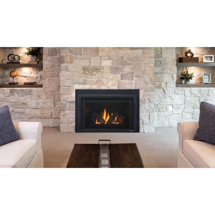 Heat & Glo Provident 30" Indoor Gas Fireplace Insert PROV-I30-IPI