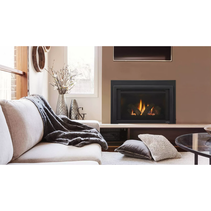 Heat & Glo Provident 35" Indoor Gas Fireplace Insert PROV-I35-IPI